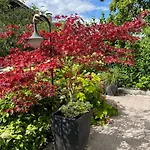 Mit Waldzugang Bei Bamberg - 300 M2 - Family & Friends Retreat Villa *