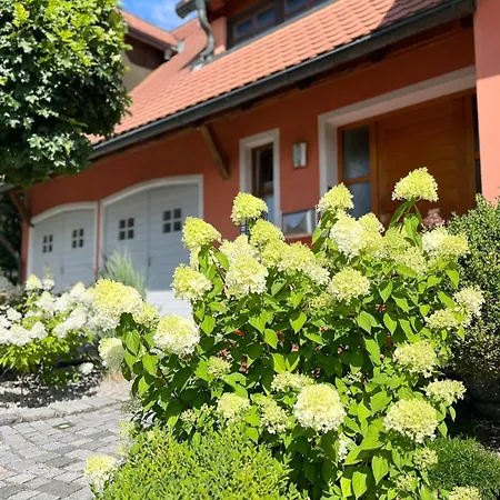 Mit Waldzugang Bei Bamberg - 300 M2 - Family & Friends Retreat Villa